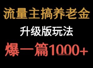 流量主之养老金升级版玩法  爆一篇收益1k+-大兵轻创资源库
