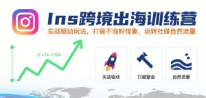 Ins跨境出海训练营,实战驱动玩法,打破不涨粉怪象,玩转社媒自然流量-大兵轻创资源库