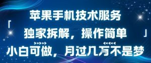 苹果手机技术服务，独家拆解，操作简单，小白可做，月过1W不是梦-大兵轻创资源库