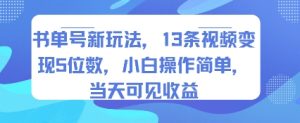 书单号新玩法，13条视频变现5位数，小白操作简单，当天可见收益-大兵轻创资源库