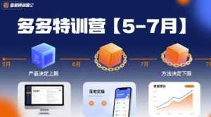 多多特训营【5-7月】产品决定上限，方法决定下限，各种玩法技巧落地实操-大兵轻创资源库