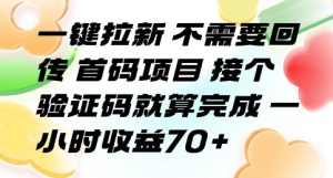一键拉新 不需要回传 首码项目 接个验证码就算完成 一小时收益70+【揭秘】-大兵轻创资源库