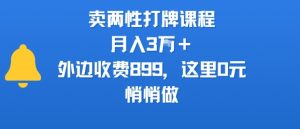 卖两性打牌课程，月入3W+外边收费899的课程，这里0元，悄悄做-大兵轻创资源库