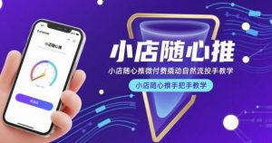 小店随心推微付费撬动自然流投手教学，小店随心推手把手教学-大兵轻创资源库