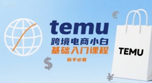 temu跨境电商小白基础入门课程，新手必看-大兵轻创资源库