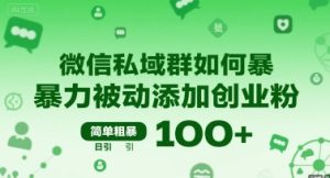 微信私域群如何暴力被动添加创业粉，简单粗暴，日引100+-大兵轻创资源库