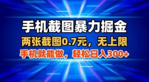 手机截图暴力掘金，两张截图0.7米，一部手机就能做，轻松日入3张+【揭秘】-大兵轻创资源库