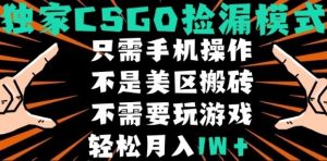 CSGO自动捡漏项目，最新独家玩法，不是美区搬砖，不需要了解和玩游戏，新手小白轻松月入1W+【揭秘】-大兵轻创资源库