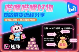 哔哩哔哩好物，B站带货流程分享，新风口项目，矩阵操作月1W-大兵轻创资源库