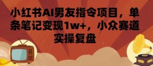 小红书AI男友指令项目，单条笔记变现1w+，小众赛道实操复盘-大兵轻创资源库