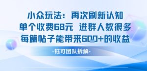 小众玩法再次刷新认知单个收费68米进群人数很多每篇帖子能带来6张的收益-大兵轻创资源库