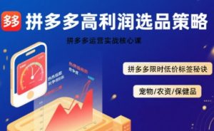 拼多多选品暴利技术实战课，拼多多高利润选品策略，拼多多限时低价标签秘诀-大兵轻创资源库