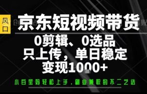 你出账号,我来运营,保底日入1k+,开启躺賺模式【揭秘】-大兵轻创资源库