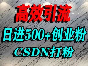 怎么打创业粉？CSDN又一个你不知道的打粉引流神秘平台，单人日引500+精准流量-大兵轻创资源库