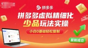 拼多多虚拟精细化少品玩法实操，小白0基础轻松复制-大兵轻创资源库