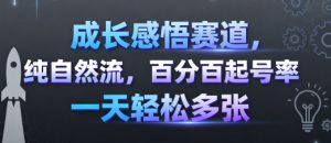 成长感悟赛道，纯自然流，百分百起号率 一天轻松多张-大兵轻创资源库