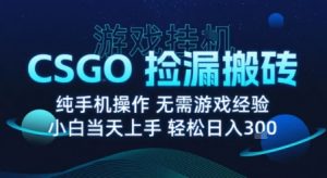 8月最新游戏搬砖,CSGO纯挂G,不需要玩游戏,实现真挂G,月入1W+【揭秘】-大兵轻创资源库