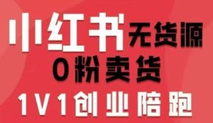小红书无货源0粉电商课，开店准备、选品策略、笔记撰写、视频剪辑、数据分析、账号打造、资料文档-大兵轻创资源库
