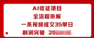 AI收徒项目全流程拆解一条视频成交35单日利润突破1k+-大兵轻创资源库