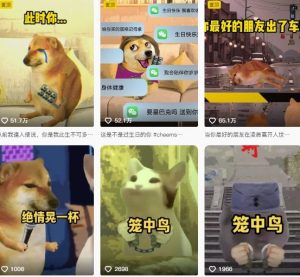 狗头幸运星UE5动画全套课程，从入门到实操全掌握-大兵轻创资源库