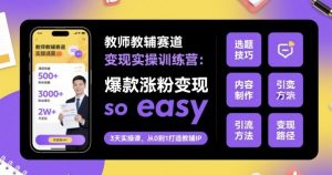 教师教辅赛道变现实操训练营,爆款涨粉变现so easy-大兵轻创资源库