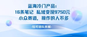 蓝海项目:16条笔记私域变现9750米小众赛道操作的人不多-大兵轻创资源库
