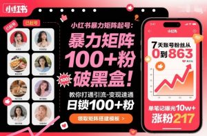 小红书暴力矩阵起号,教你打通引流-变现速通,日锁100+粉,破流量黑盒-大兵轻创资源库