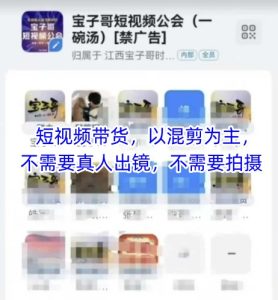 宝子哥头部团队短视频带货,以混剪为主,不需要真人出镜,不需要拍摄【更新9月】-大兵轻创资源库