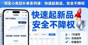 淘宝小类目补单系列课,快速起新品,安全不降权-大兵轻创资源库