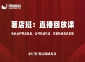 小红薯薯店商城卖货直播回放课,教你如何开店选品、如何系统引流,实现快速卖货变现-大兵轻创资源库