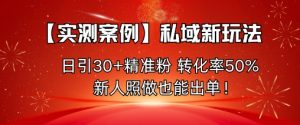 【实测案例】私域新玩法,日引30+精准粉,转化率50%,新人照做也能出单!-大兵轻创资源库