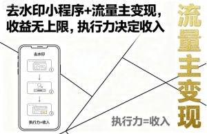 去水印小程序+流量主变现，收益无上限，执行力决定收入-大兵轻创资源库