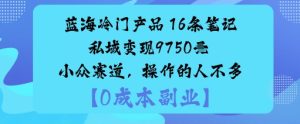 蓝海冷门产品:16条笔记私域变现9750米小众赛道,操作的人不多-大兵轻创资源库