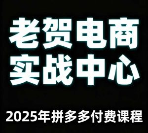 老贺电商2025年拼多多付费课程，用通俗易懂的方法告诉你多多怎么玩-大兵轻创资源库