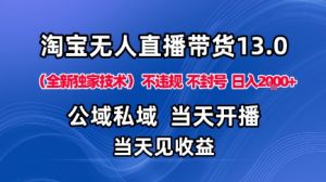 淘宝无人直播13.0,公域私域技术,不封号,不违规布局下半年旺季赛道,日入1K+(独家技术)【揭秘】-大兵轻创资源库