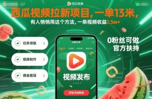 西瓜视频拉新项目,一单13米,有人悄悄用这个方法,一条视频收益2.5w+(附详细教程)-大兵轻创资源库