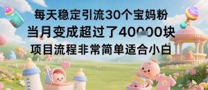 每天稳定引流30个宝妈粉当月变成超过了1W+项目流程非常简单适合小白-大兵轻创资源库