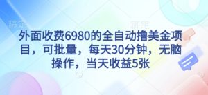 外面收费6980的全自动撸美刀项目,可批量,每天30分钟,无脑操作,当天收益5张【揭秘】-大兵轻创资源库