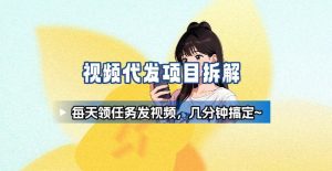 新手副业首选!视频代发接单,领任务发视频,长期稳定不费劲儿-大兵轻创资源库