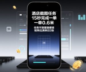 酒店截图任务,15秒完成一单,一单0.6米,任务不限量随便接,矩阵拉满单日3张【揭秘】-大兵轻创资源库