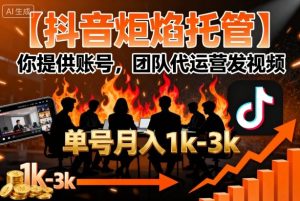 【抖音炬焰托管】你提供账号,团队代运营发视频,单号月入1k+【揭秘】-大兵轻创资源库