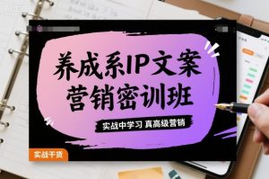 养成系IP文案营销密训班,实战中学习真高级营销-大兵轻创资源库