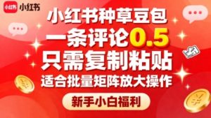 小红书种草豆包,一条评论0.5,只需复制粘贴,适合批量矩阵放大操作,新手小白福利-大兵轻创资源库