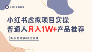 小红书虚拟项目实操指南,普通人月入1W+产品推荐,直接抄-大兵轻创资源库
