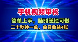 手机视频审核,随时随地可做,二十秒钟一单,单日收益4张+【揭秘】-大兵轻创资源库
