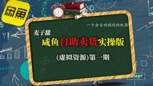麦子甜咸鱼自助卖货实操版(虚拟资源)一个会自动搞钱的机器-大兵轻创资源库