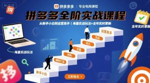 拼多多全阶实战课程，从新手小白到运营高手，海量实战玩法+全年实时更新【2025年9月更新】-大兵轻创资源库