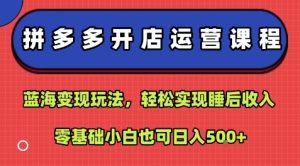 拼多多开店运营课程:蓝海变现玩法,轻松实现睡后收入,零基础小白也可日入5张-大兵轻创资源库
