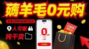 薅羊毛0元购,免单还倒挣钱的暴力玩法,人人可做,纯干货-大兵轻创资源库