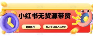 小红书无货源带货项目,简单无脑,新人小白日入多张-大兵轻创资源库